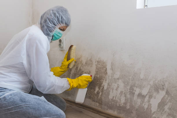 Best Emergency Mold Removal  in Fort Scott, KS