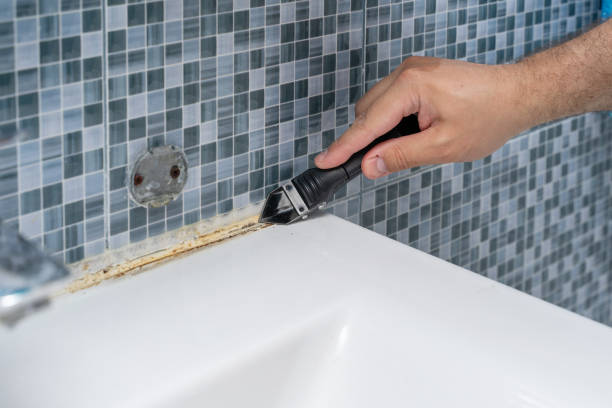 Fort Scott, KS Mold Removal Company