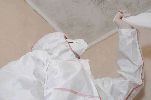 Best Mold Remediation  in Fort Scott, KS