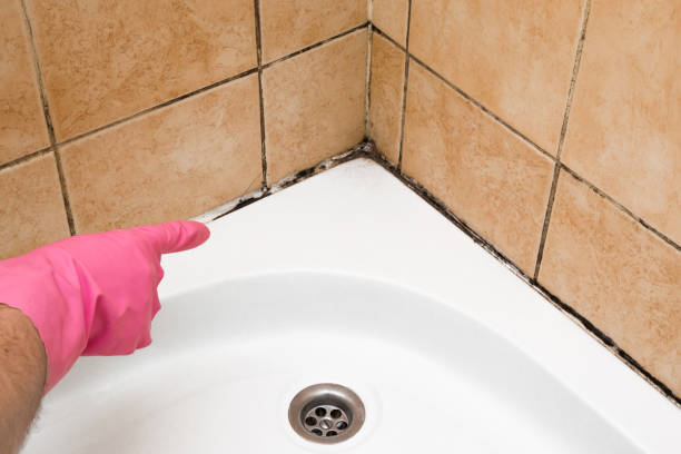 Best Mold Testing  in Fort Scott, KS